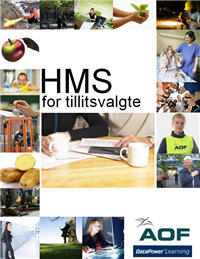 HMS for tillitsvalgte NO