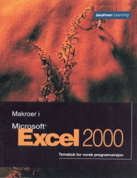 Makroer i Excel 2000 NO (Bok)