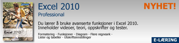 Excel 2010 Professional