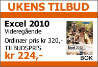Excel 2010 Videregående (BOK).