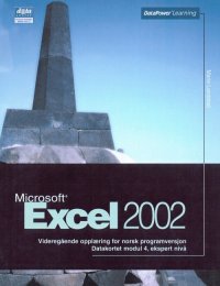 Excel 2002 NO (Bok)
