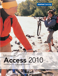 Access 2010 NO (Bok)