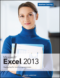 Excel 2013 NO (Bok)
